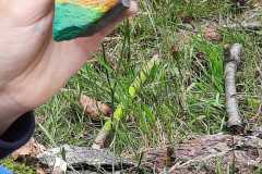 IMG-20230703-WA0024