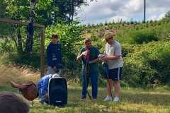 Pferdeschau-8
