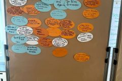 Treffen-der-Steuerungsgruppe-Fusion-August-2025-07