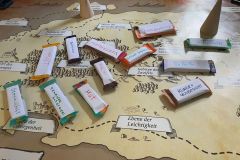 Treffen-der-Steuerungsgruppe-Fusion-August-2025-08