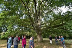 Treffen-der-Steuerungsgruppe-Fusion-August-2025-10