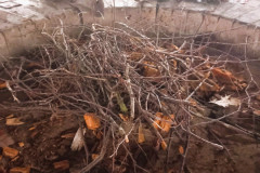 5a0a9559-84df-4096-8860-72b5750be85a