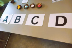 a2c173d0-e5da-4a0c-bf86-5abef177b967