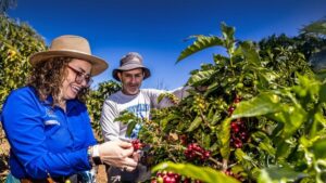 Mehr über den Artikel erfahren 50 Jahre Oikocredit: Eine kirchliche Vision, die weltweit wirkt